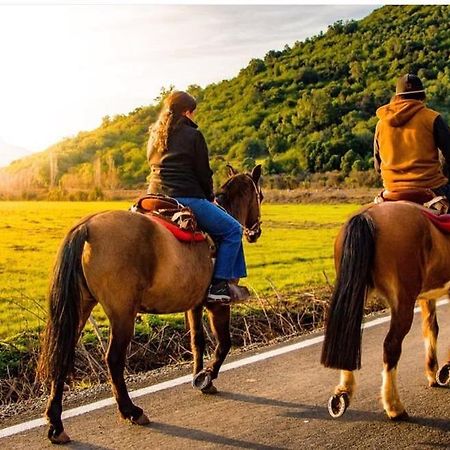 Hotel Boutique Raices De Colchagua サンタ・クルス エクステリア 写真