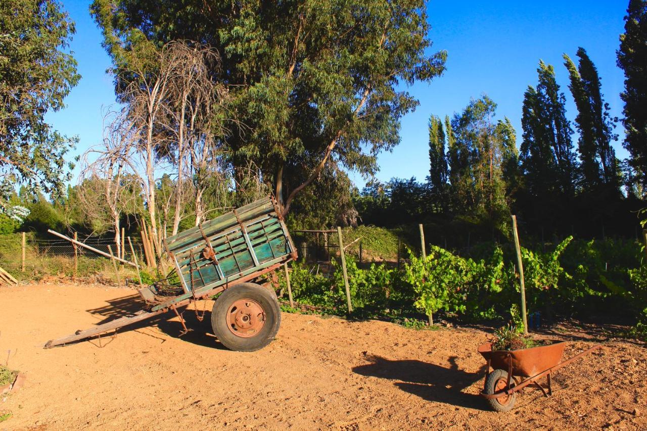 Hotel Boutique Raices De Colchagua サンタ・クルス エクステリア 写真