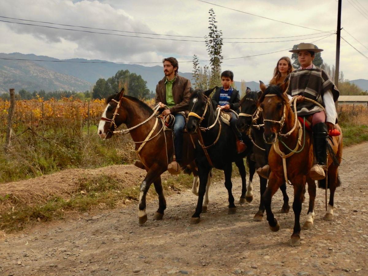 Hotel Boutique Raices De Colchagua サンタ・クルス エクステリア 写真