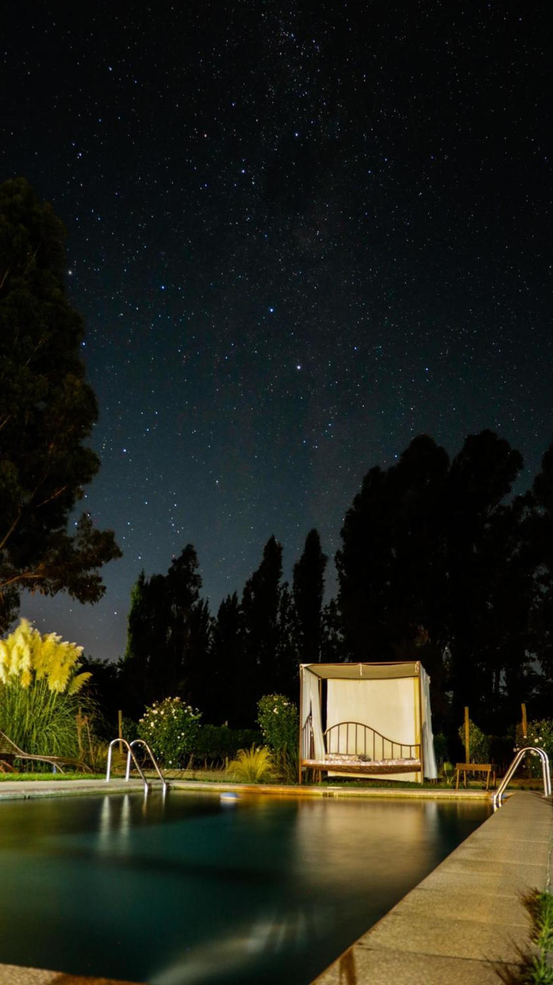 Hotel Boutique Raices De Colchagua サンタ・クルス エクステリア 写真